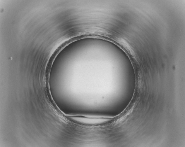 X0000088910924200706291526