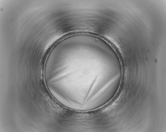 X0000088910925200706291526