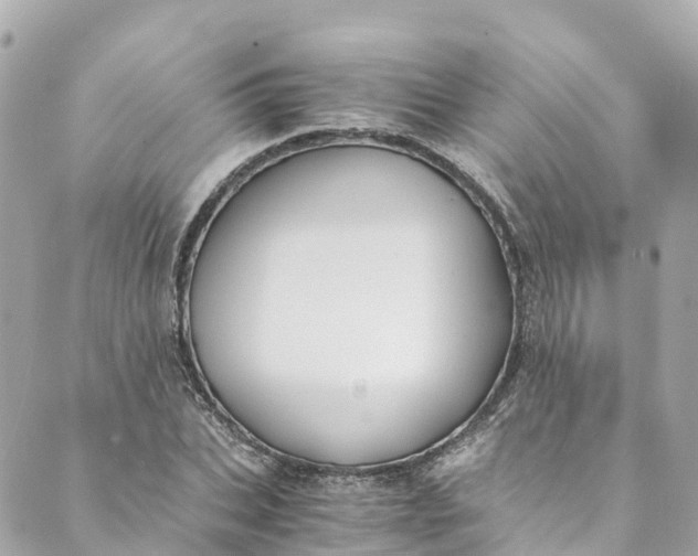 X0000088910927200706291526