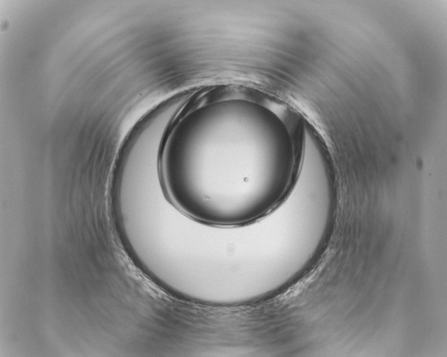 X0000088910928200706291526