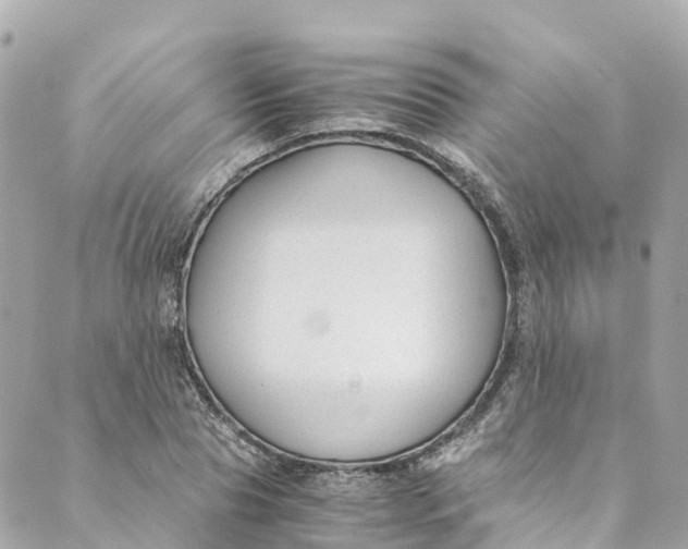 X0000088910929200706291526