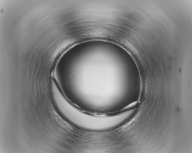 X0000088910930200706291526