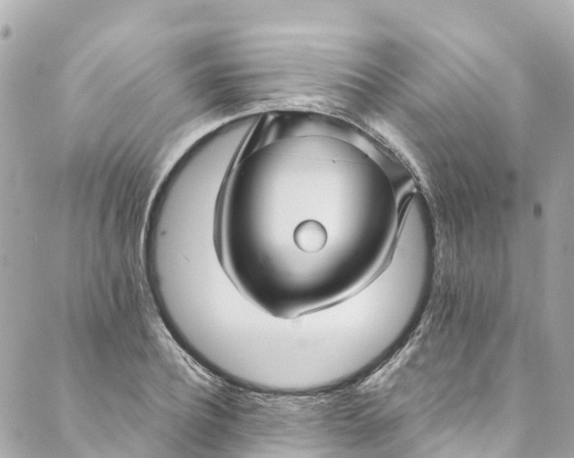 X0000088910932200706291526