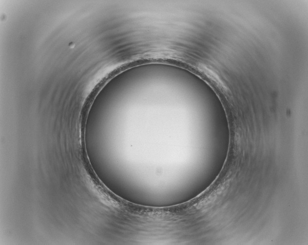 X0000088910934200706291526