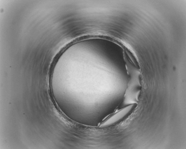 X0000088910935200706291526