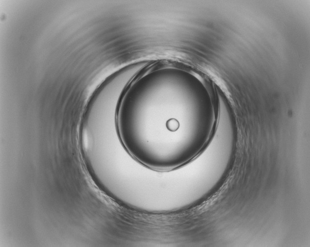 X0000088910936200706291526