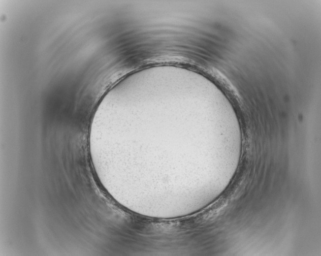 X0000088910937200706291526