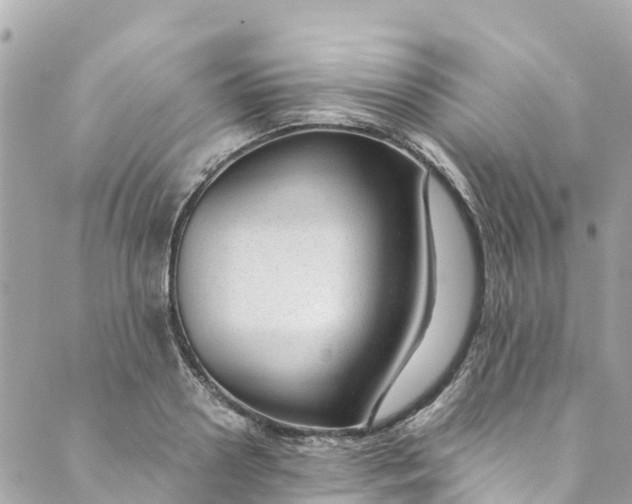 X0000088910938200706291526