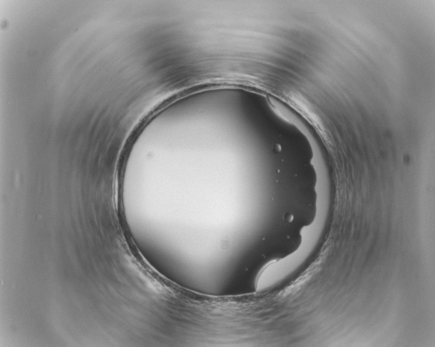 X0000088910940200706291526