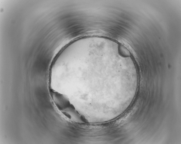 X0000088910941200706291526