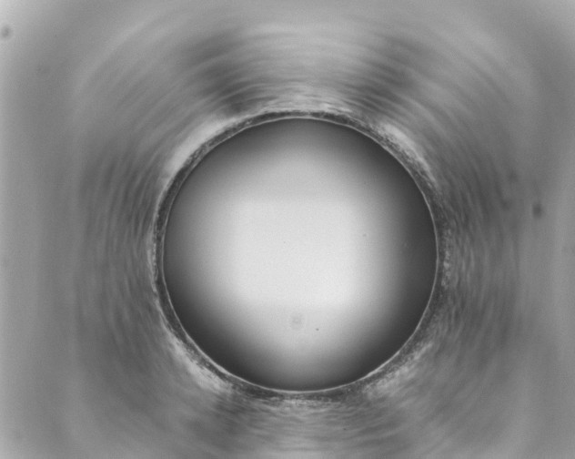 X0000088910942200706291526