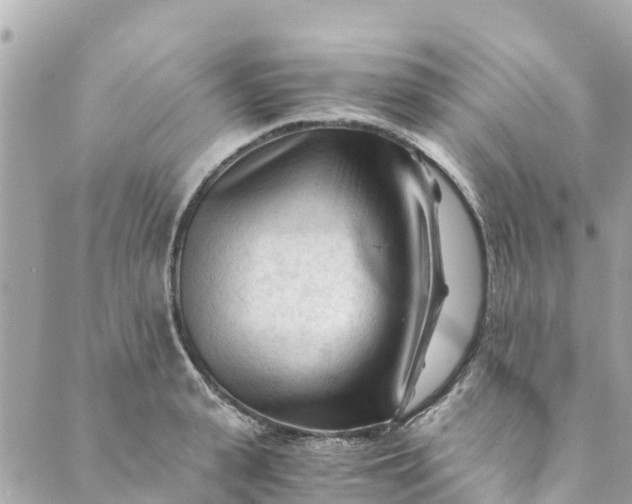 X0000088910943200706291526