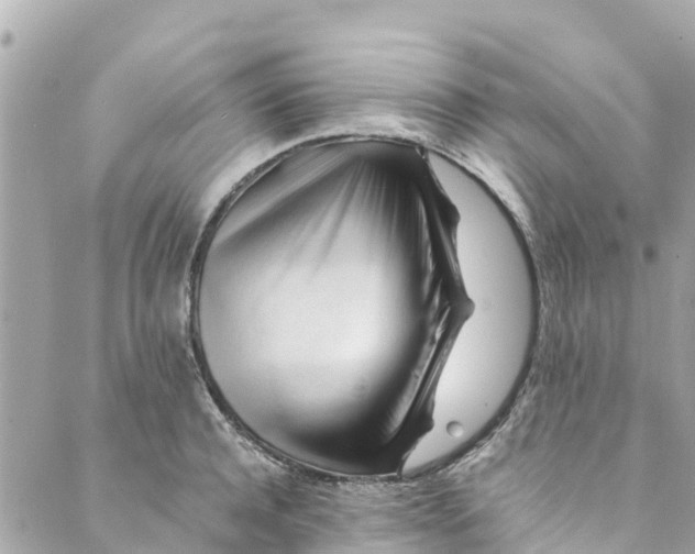 X0000088910944200706291526