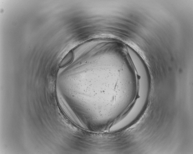 X0000088910945200706291526