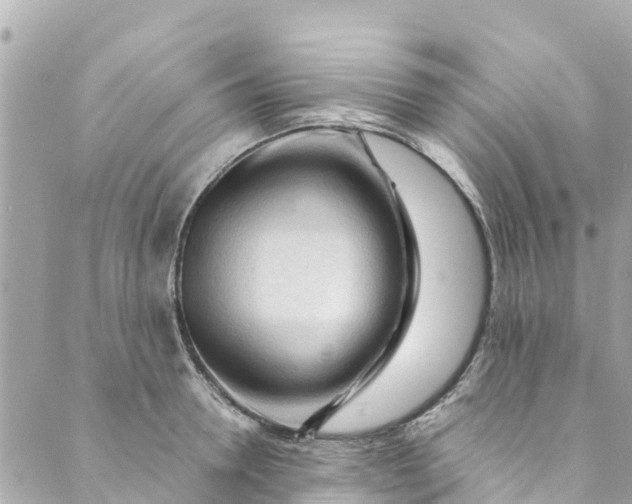 X0000088910946200706291526