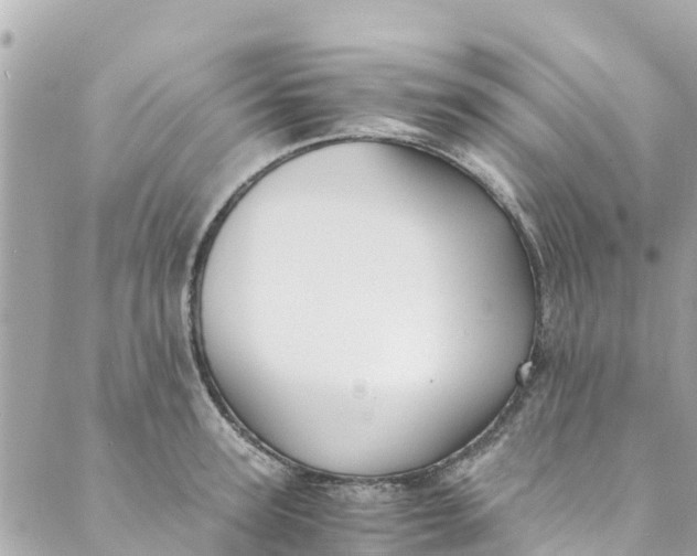 X0000088910947200706291526