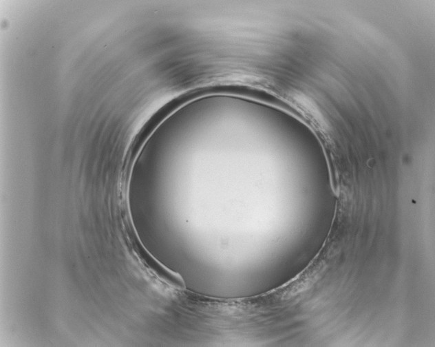 X0000088910948200706291526