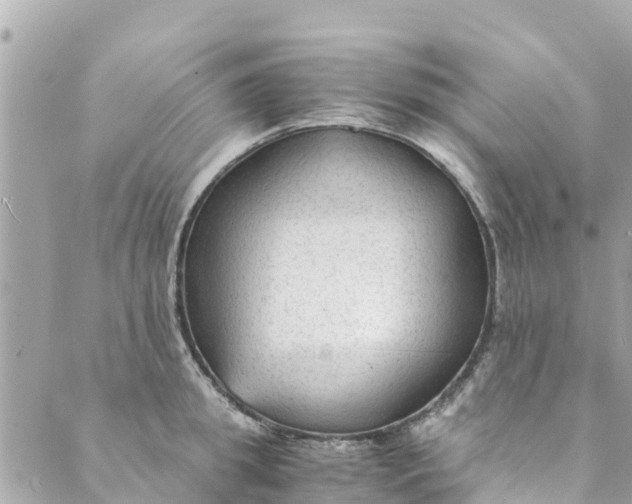 X0000088910949200706291526