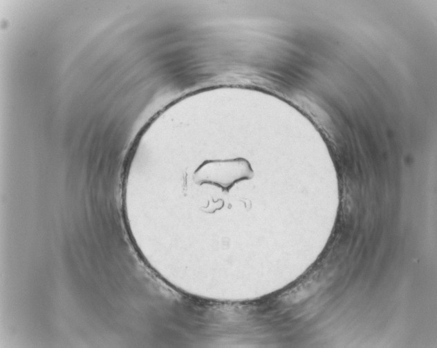 X0000088910950200706291526