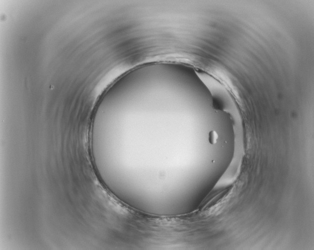 X0000088910952200706291526