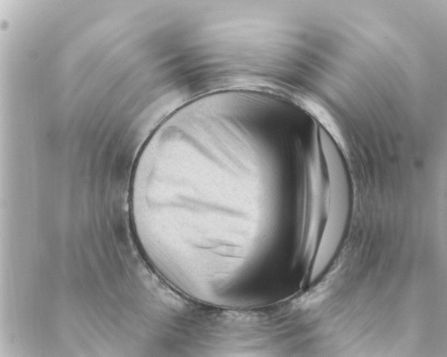 X0000088910954200706291526