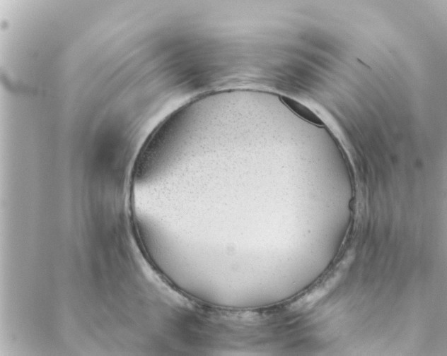 X0000088910957200706291526