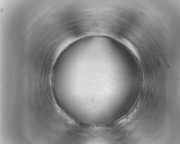 X0000088910958200706291526