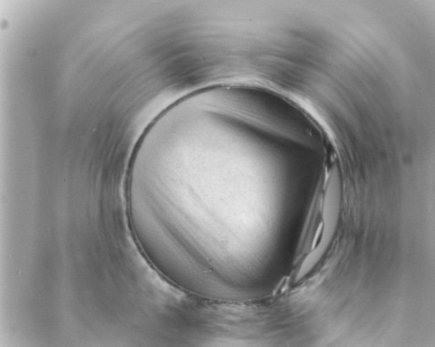 X0000088910959200706291526