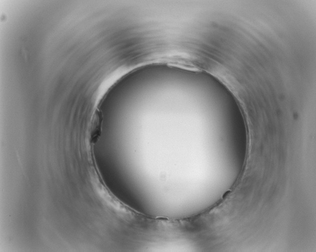 X0000088910960200706291526