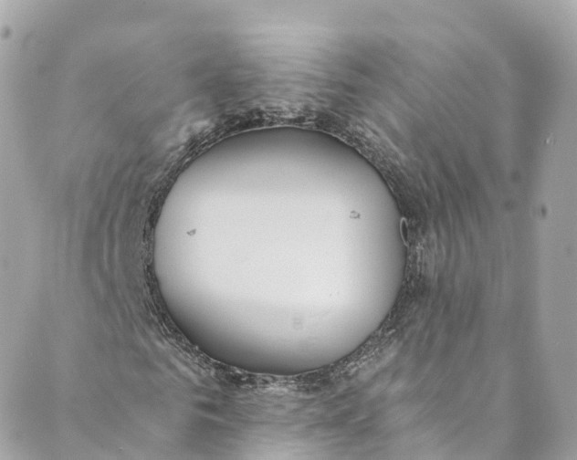 X0000088910961200706291525