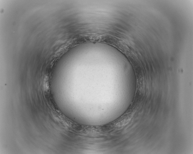 X0000088910962200706291525