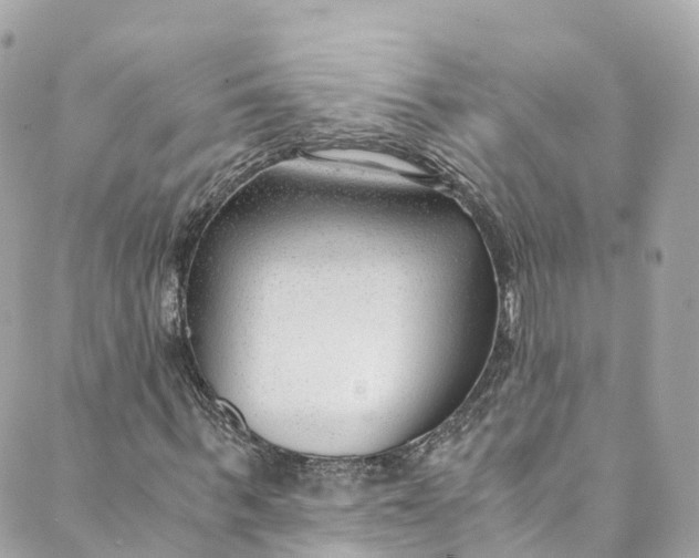 X0000088910963200706291525