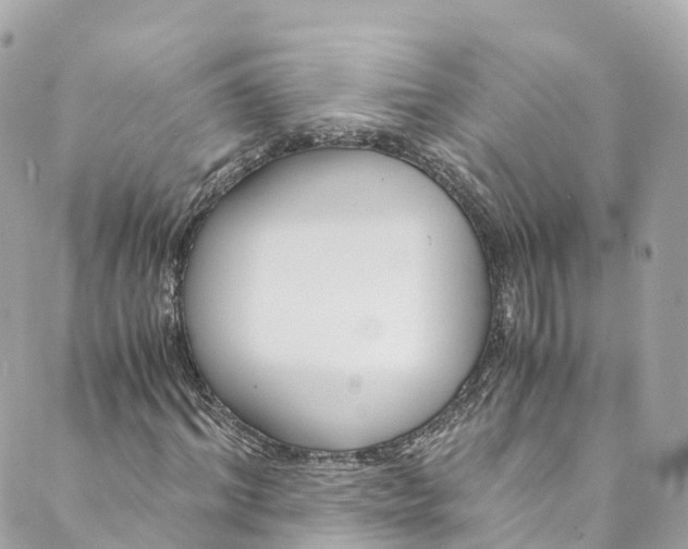 X0000088910964200706291525