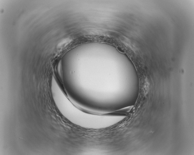 X0000088910965200706291525