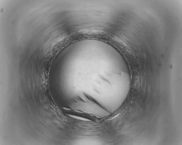 X0000088910966200706291525