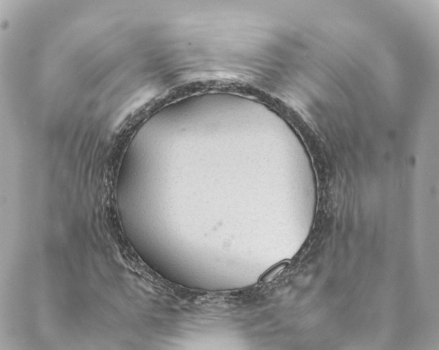 X0000088910967200706291525