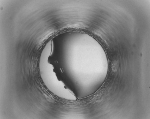 X0000088910968200706291525