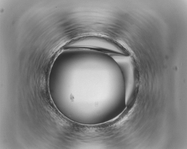 X0000088910969200706291525