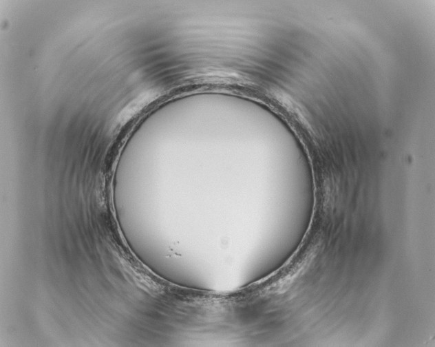 X0000088910970200706291525