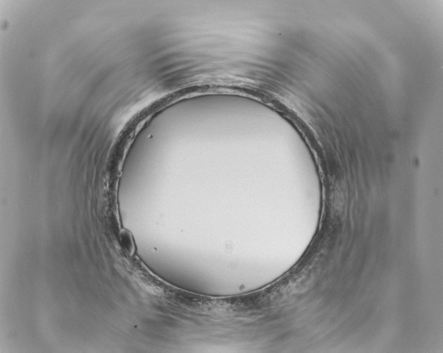 X0000088910971200706291525