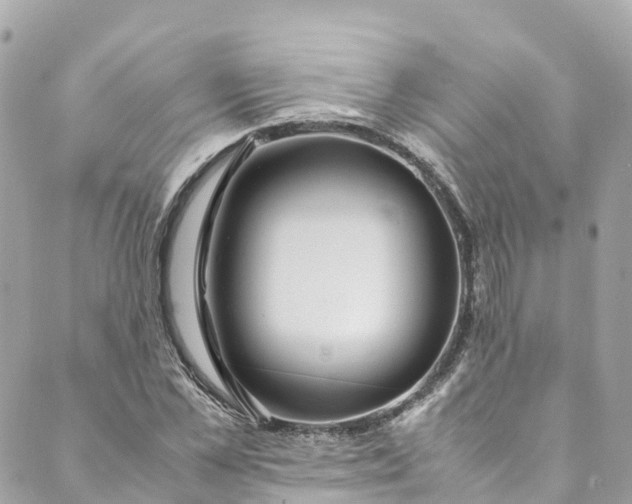 X0000088910973200706291525