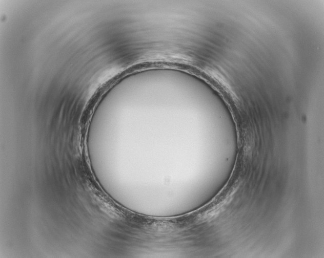 X0000088910974200706291525