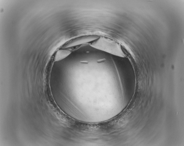 X0000088910975200706291525