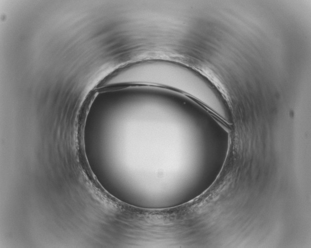 X0000088910976200706291525