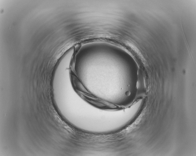 X0000088910977200706291525