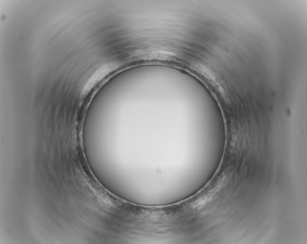 X0000088910978200706291525