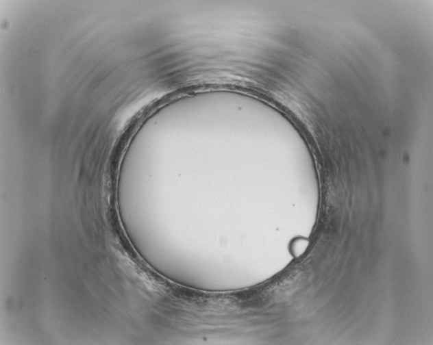 X0000088910979200706291525