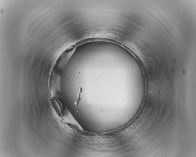 X0000088910980200706291525