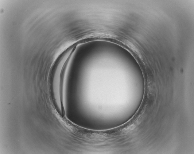 X0000088910981200706291525