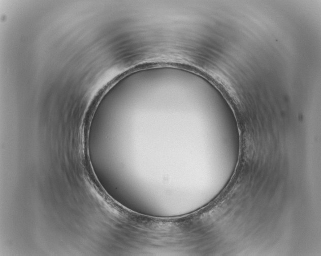 X0000088910982200706291525